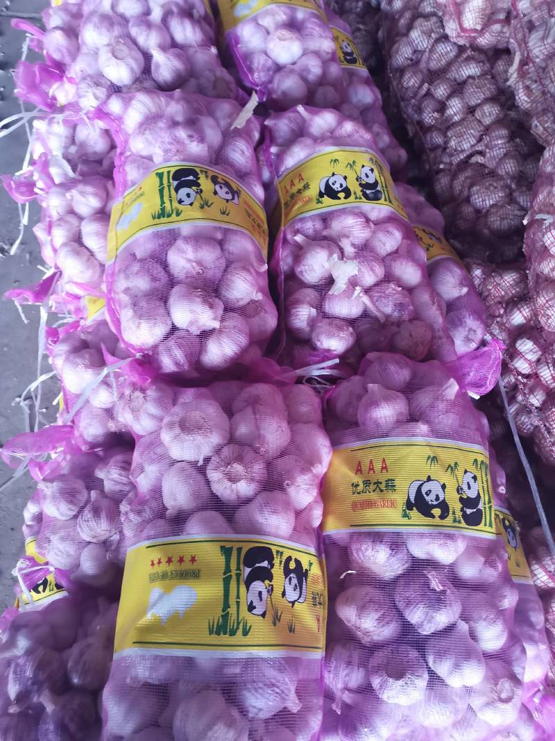 山东精品金乡大蒜，专业从事大蒜，超市电商专供，冷库出租。