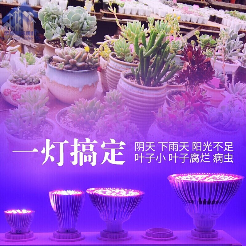 全光谱27螺口植物生长补光灯10305080室内多肉花卉