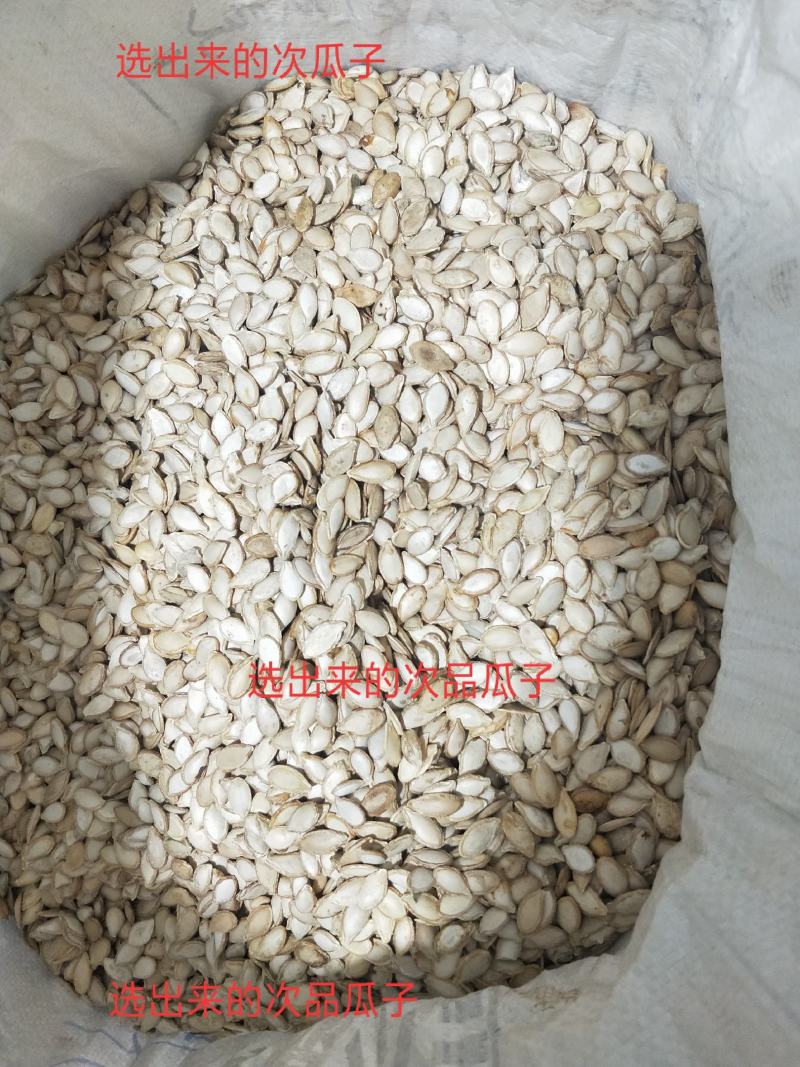南漳县祥东农产品精选一级土南瓜籽，品牌炒货5000斤起批