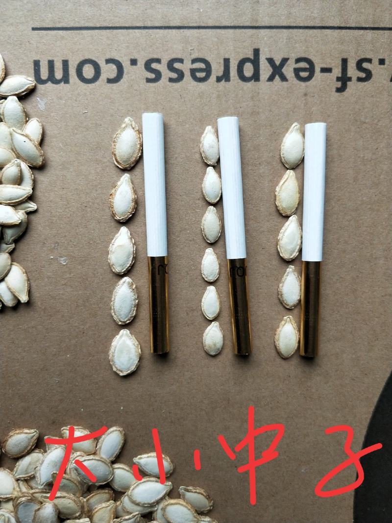 南漳县祥东农产品精选一级土南瓜籽，品牌炒货5000斤起批