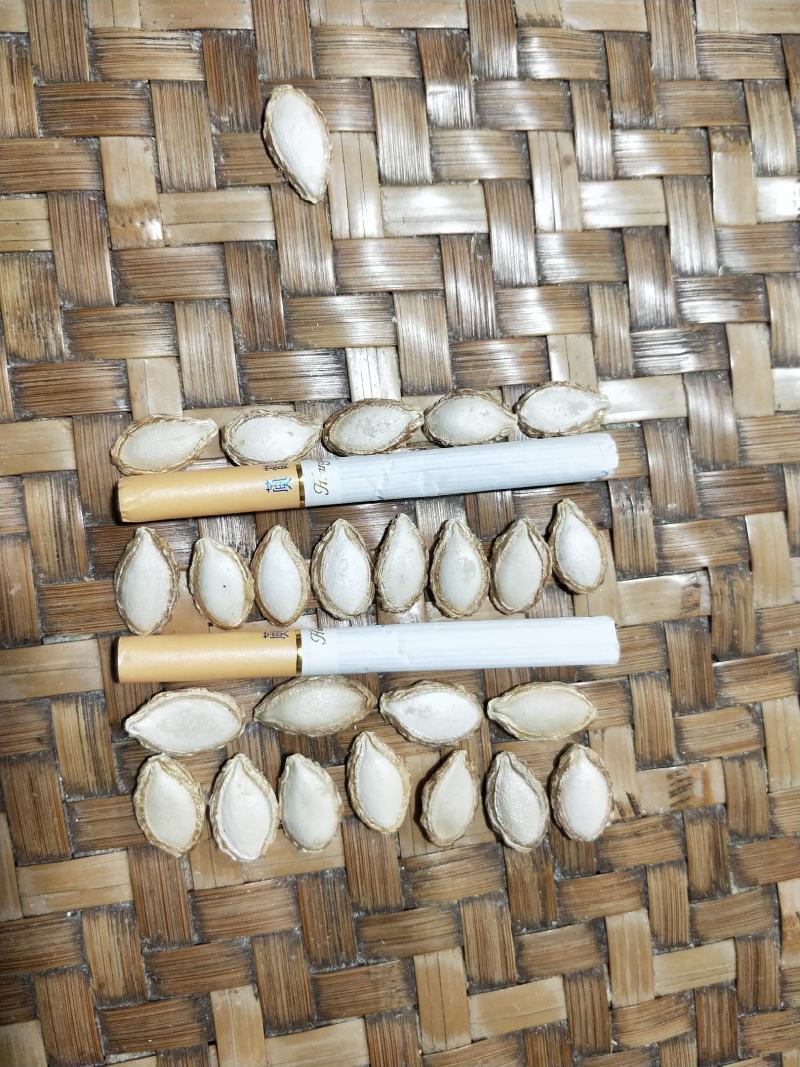南漳县祥东农产品精选一级土南瓜籽，品牌炒货5000斤起批