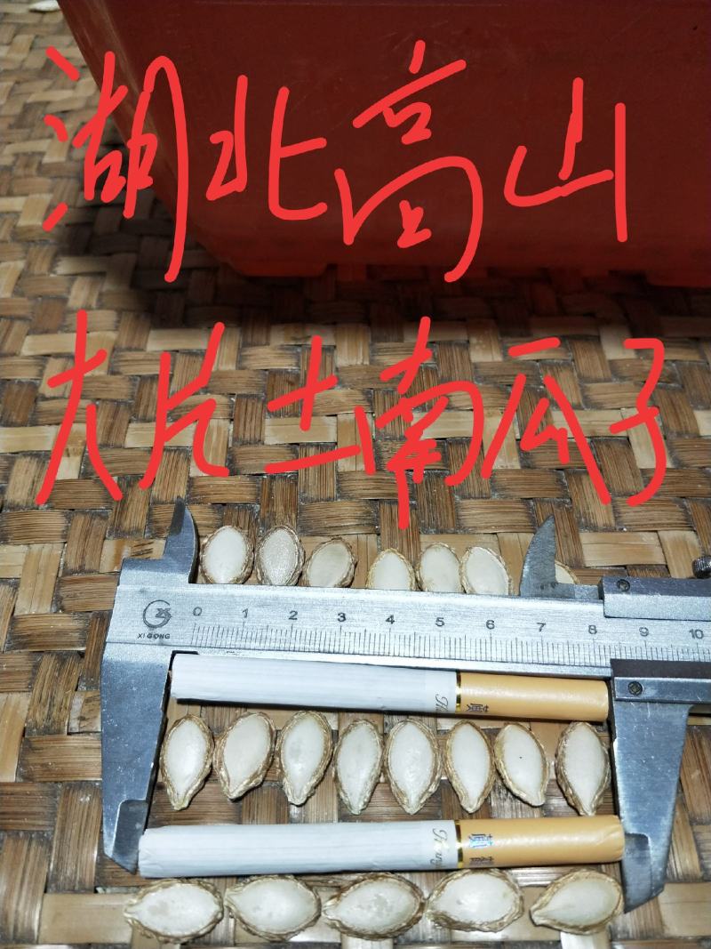 南漳县祥东农产品精选一级土南瓜籽，品牌炒货5000斤起批