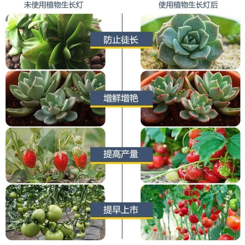 全光谱27螺口植物生长补光灯10305080室内多肉花卉