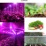 全光谱27螺口植物生长补光灯10305080室内多肉花卉