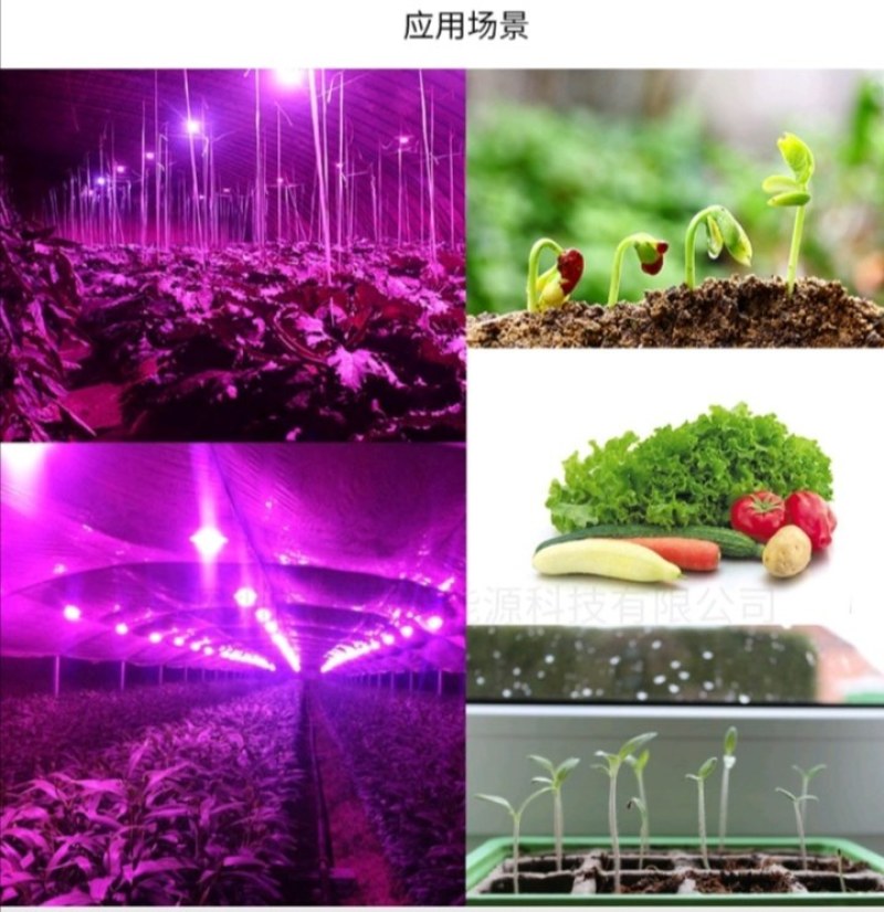 全光谱27螺口植物生长补光灯10305080室内多肉花卉
