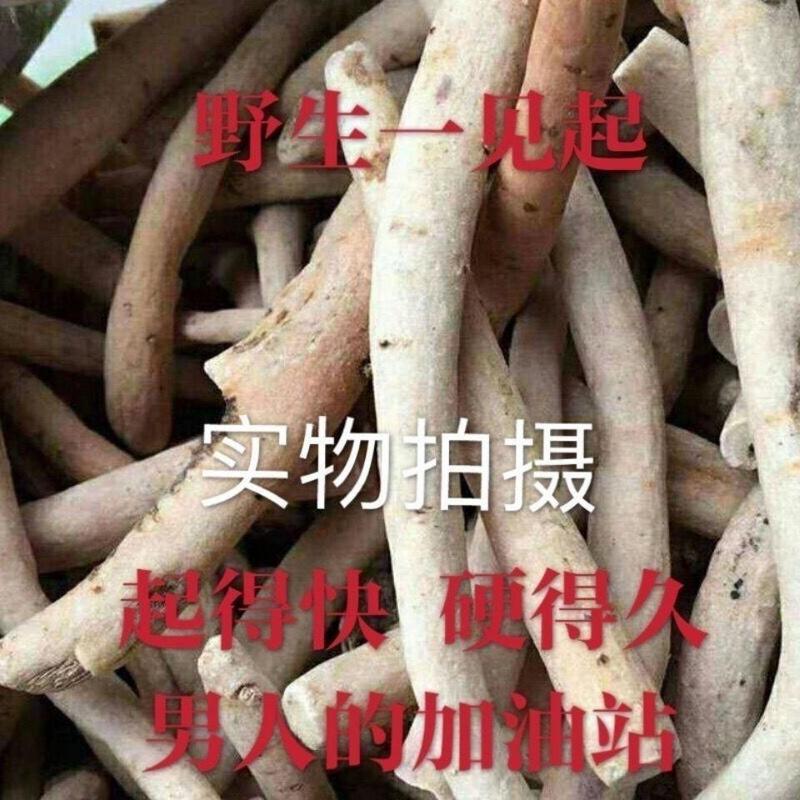 一见起正品一见起中药材大货供应一手货源