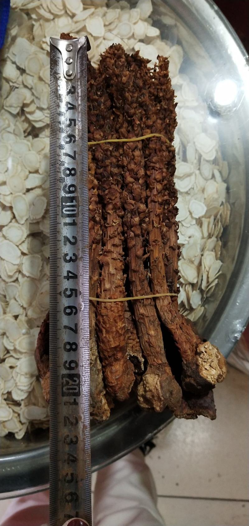 【包邮】长白山野生不老草整条不老草回春草乌拉草不老草酒