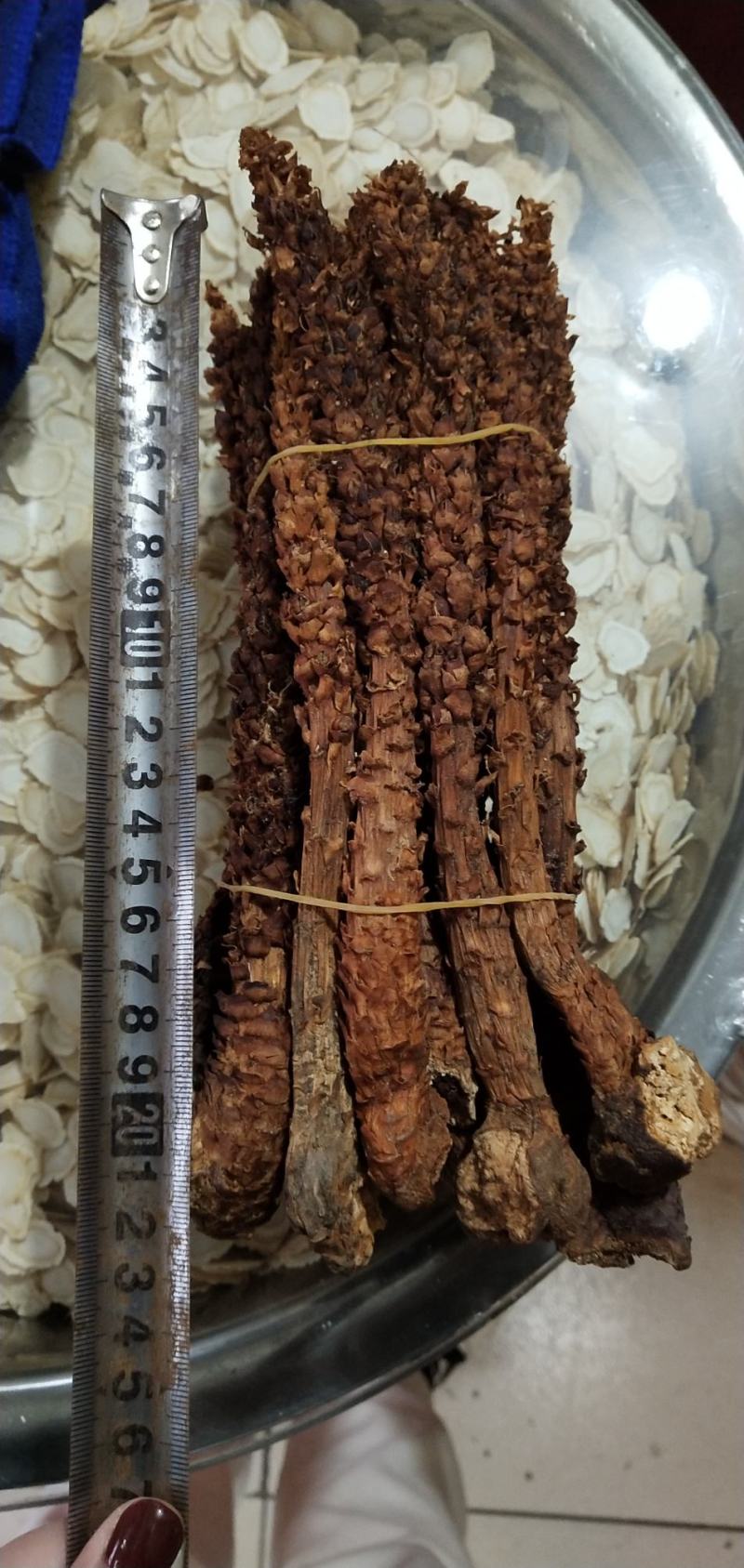 【包邮】长白山野生不老草整条不老草回春草乌拉草不老草酒