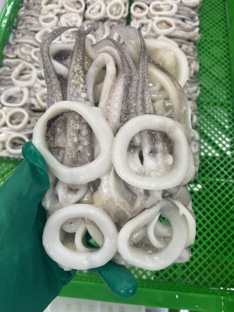 家庭装百搭鱿鱼原汁原味