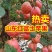 山东省红富士苹果产地直销，坏果包赔电商平台全国发货