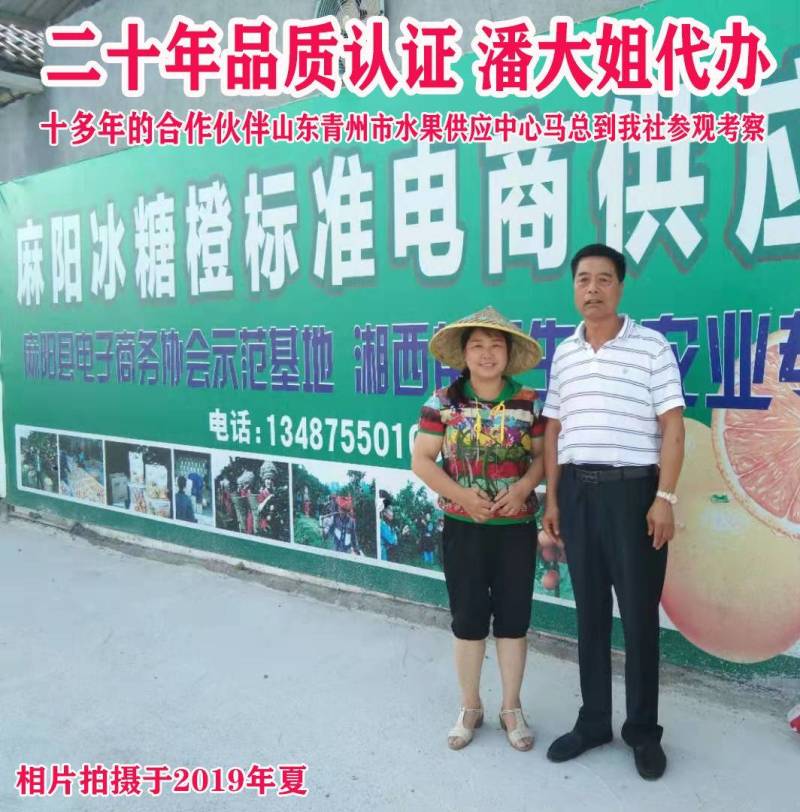 麻阳冰糖橙果园代办，电商代发，整车发货，诚信专业