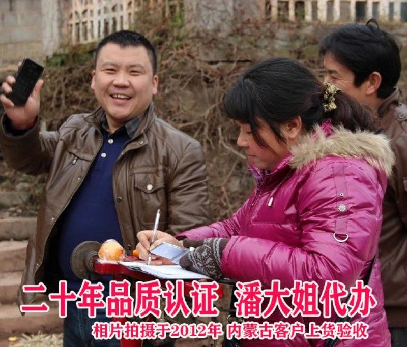 麻阳冰糖橙果园代办，电商代发，整车发货，诚信专业