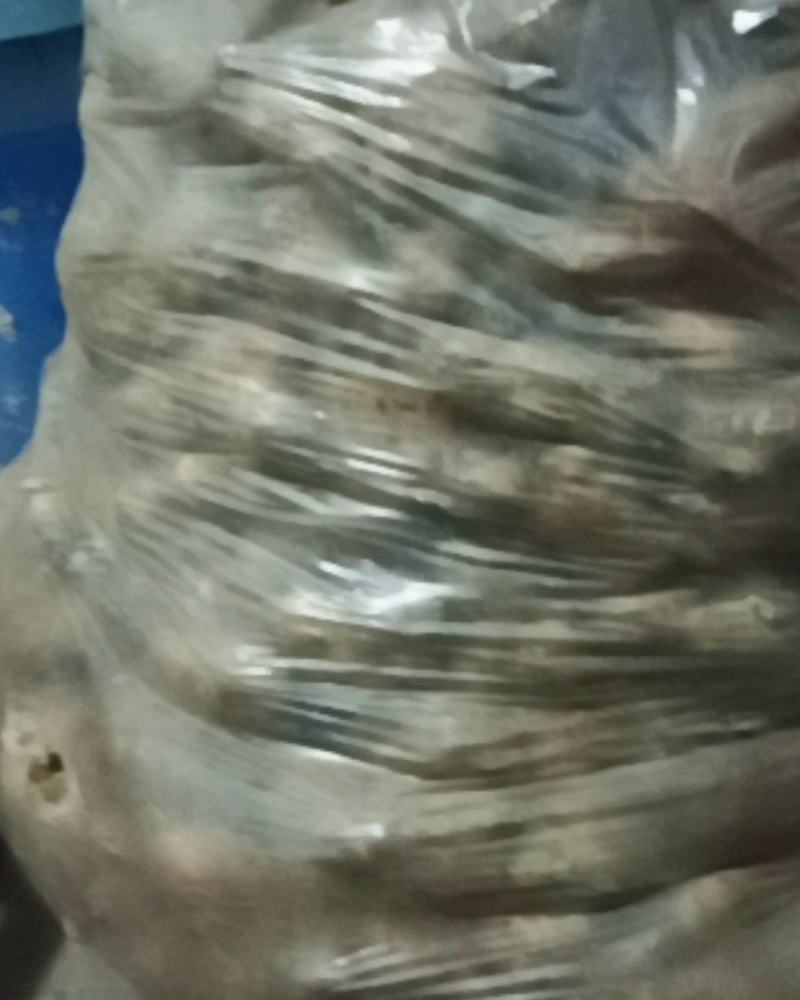 安丘生姜走遍全球就是好