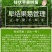 嫁接果树苗南方北方盆栽地栽柱状苹果树苗润太一号树状苹果苗