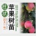 嫁接果树苗南方北方盆栽地栽柱状苹果树苗润太一号树状苹果苗