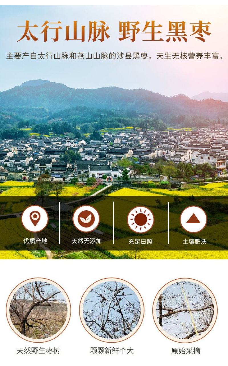 河北特黑枣无核特级野生免洗君迁子软枣农家大圆黑枣新鲜正宗