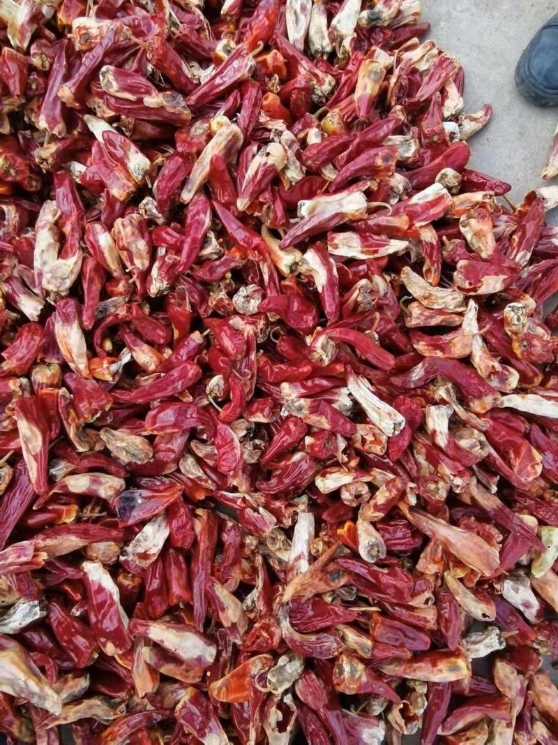 剪吧花皮.和代吧花皮.北京红干辣椒.切锻.打粉.代收.代