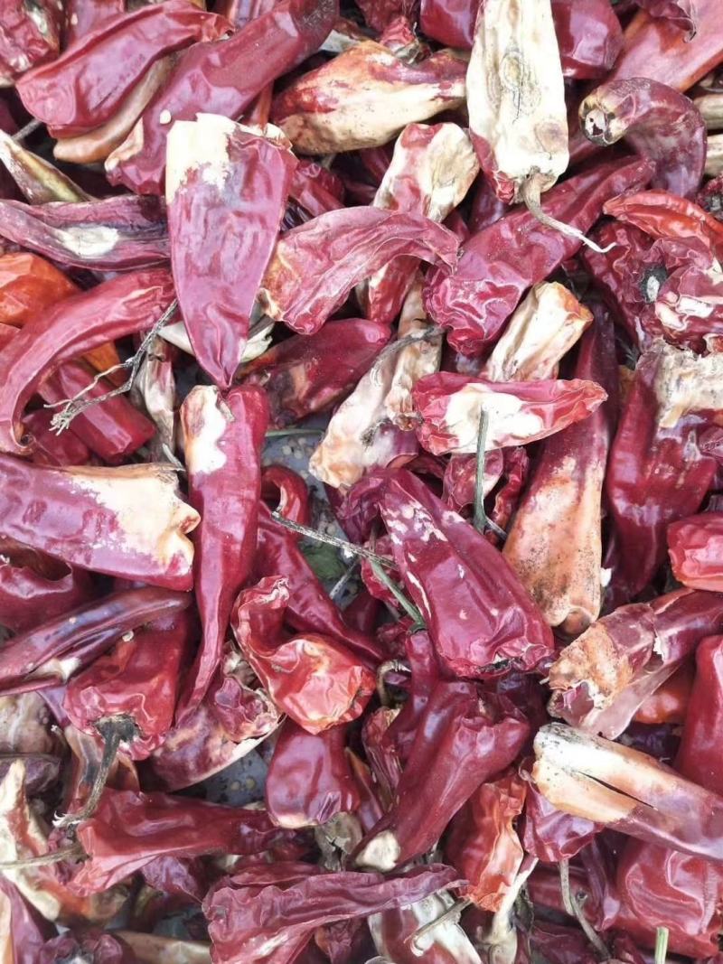 剪吧花皮.和代吧花皮.北京红干辣椒.切锻.打粉.代收.代