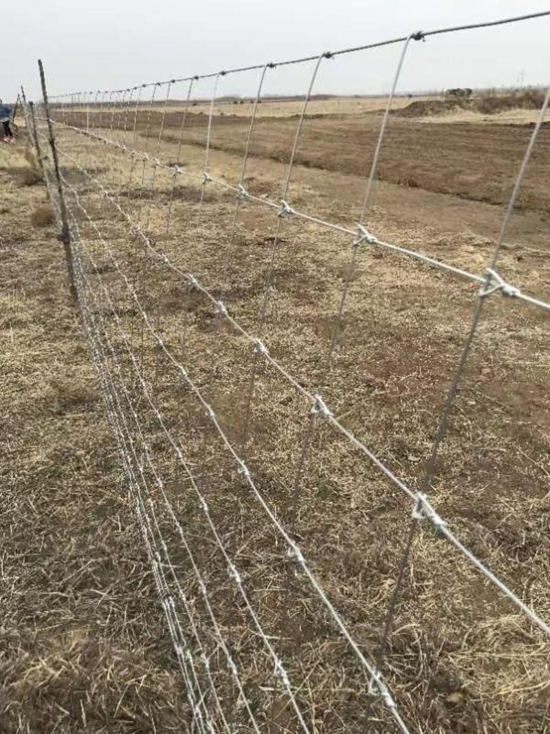 圈牛羊网隔离网防护网铁丝围栏网牛栏网热镀锌铁丝网网