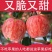 甘肃礼县红富士苹果大量上市！70上商品果价格便宜全国代发