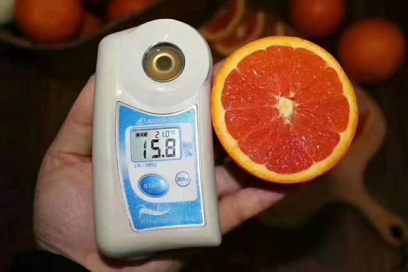 血橙中华红血橙产地看货采摘，以质量论价格