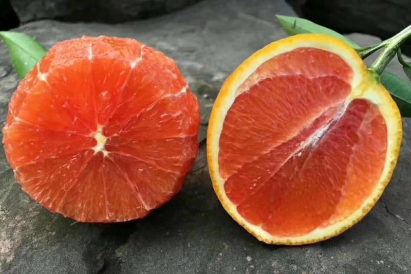 血橙中华红血橙产地看货采摘，以质量论价格