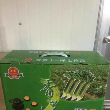 潍县水果萝卜，沙窝萝卜，新品上市，欢迎采购！