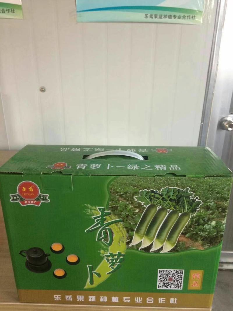 潍县水果萝卜，沙窝萝卜，新品上市，欢迎采购！
