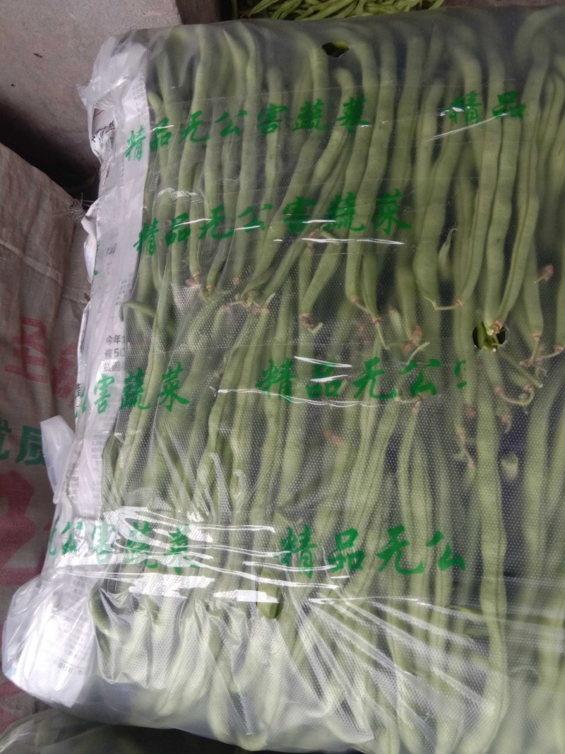 加祥四季蔬菜专业合作社