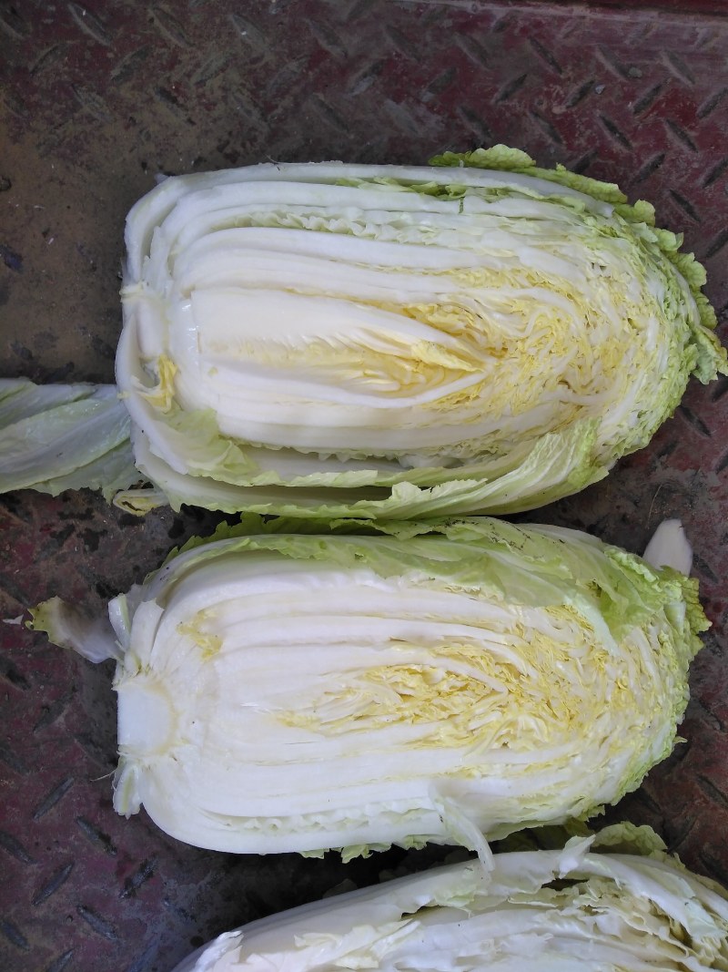 白菜，无虫无洞，无烂心，品质保证