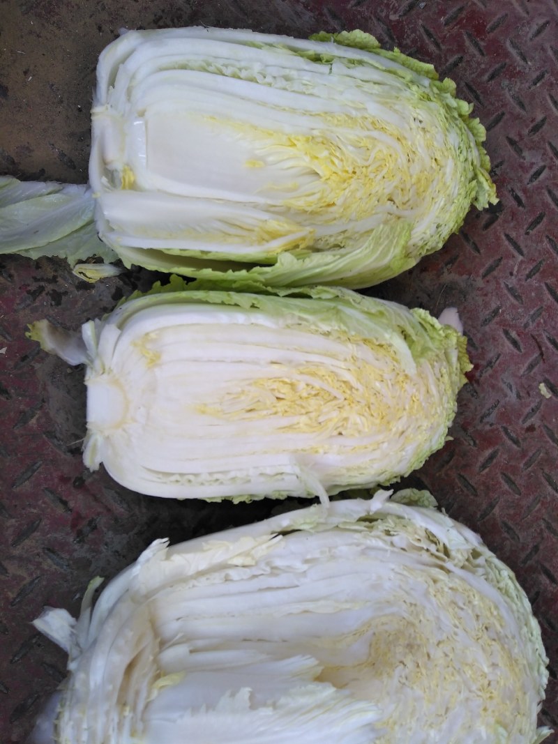白菜，无虫无洞，无烂心，品质保证