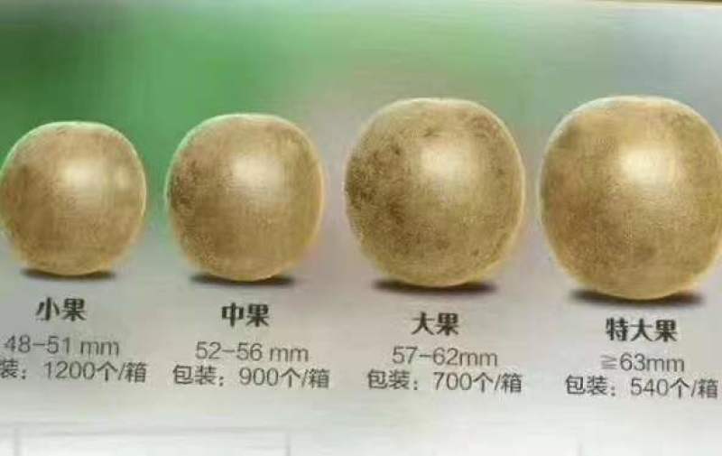罗汉果批发欢迎选购有大货，是今年的新货欢迎选购
