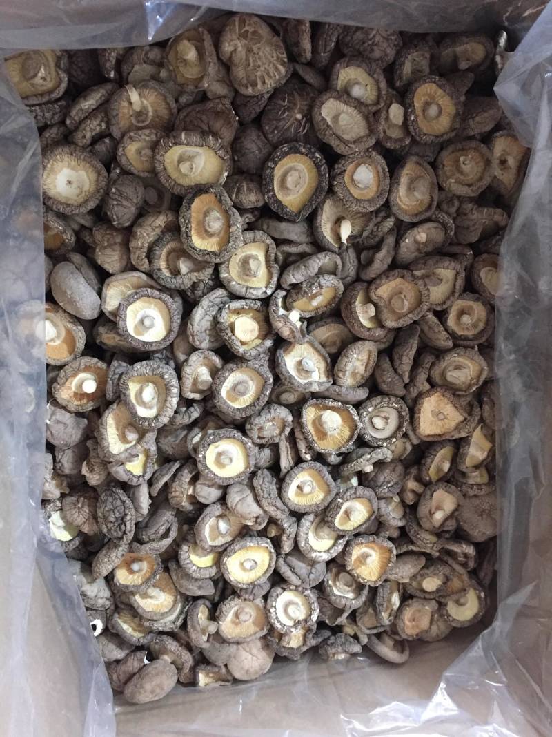 黑面香菇新货干香菇食用菌干货种植原产地批发常年供货大香菇