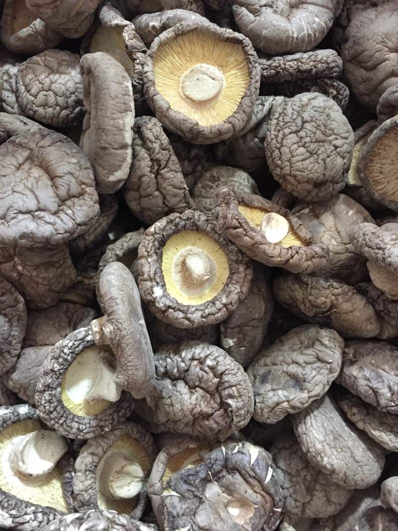 黑面香菇新货干香菇食用菌干货种植原产地批发常年供货大香菇