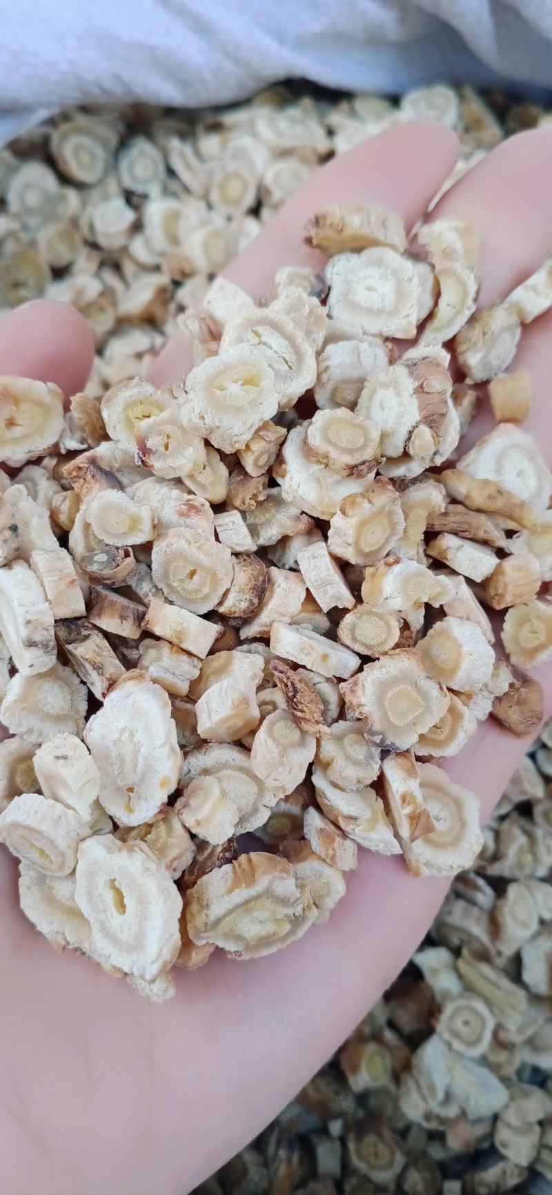 中药材沙参，沙参片，沙参组，大货直供，批发各种中药材