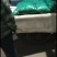 杂交蒜薹通货40~50cm聊城，大张蒜台，