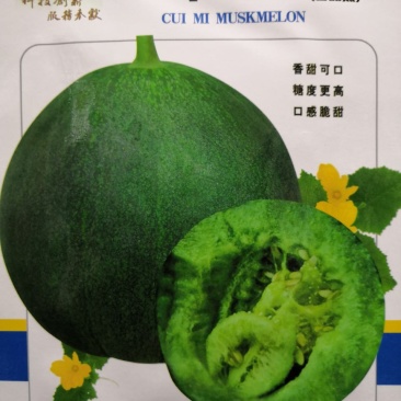 【精品甜瓜】翠蜜绿宝/白香妃甜瓜种子高产脆甜可口甜瓜种子