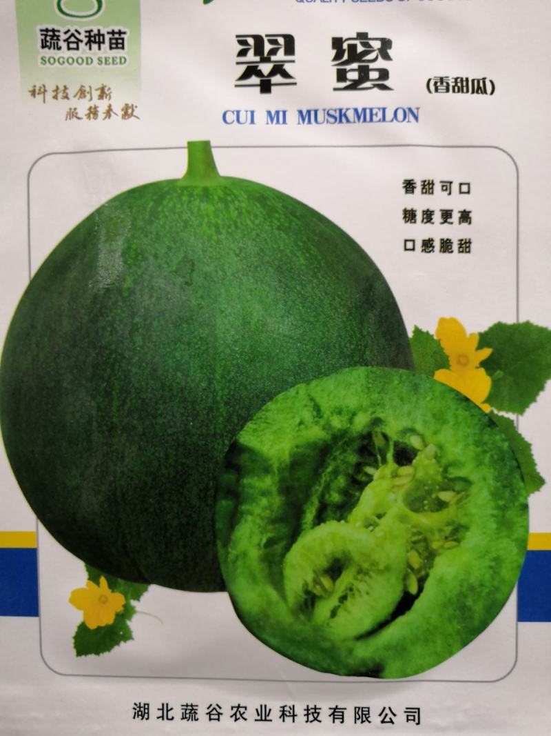 【精品甜瓜】翠蜜绿宝/白香妃甜瓜种子高产脆甜可口甜瓜种子