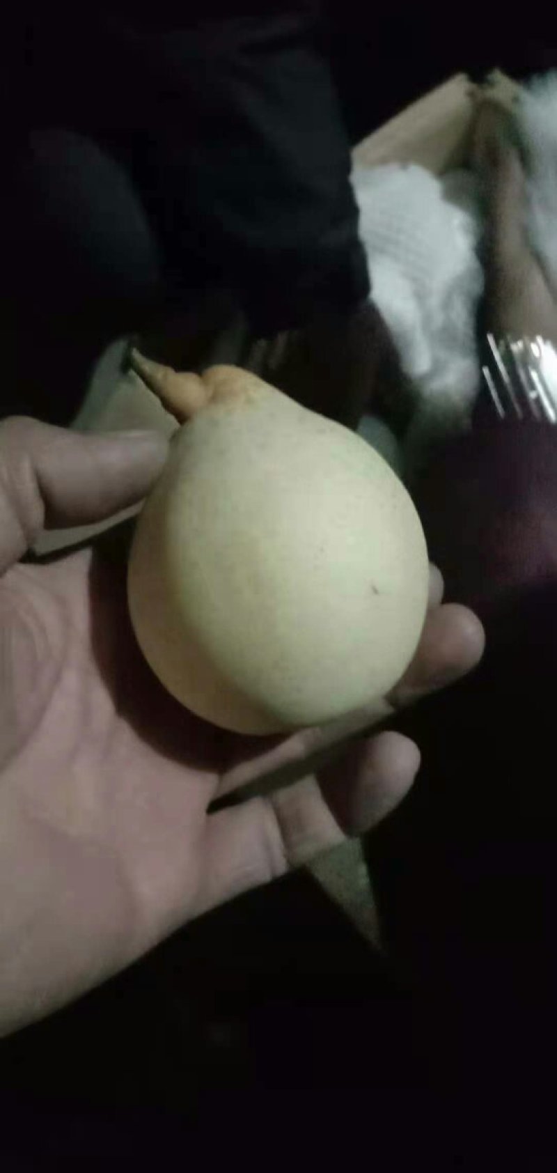 大量供应水晶鸭梨，梨白口感好，价格便宜产地直销