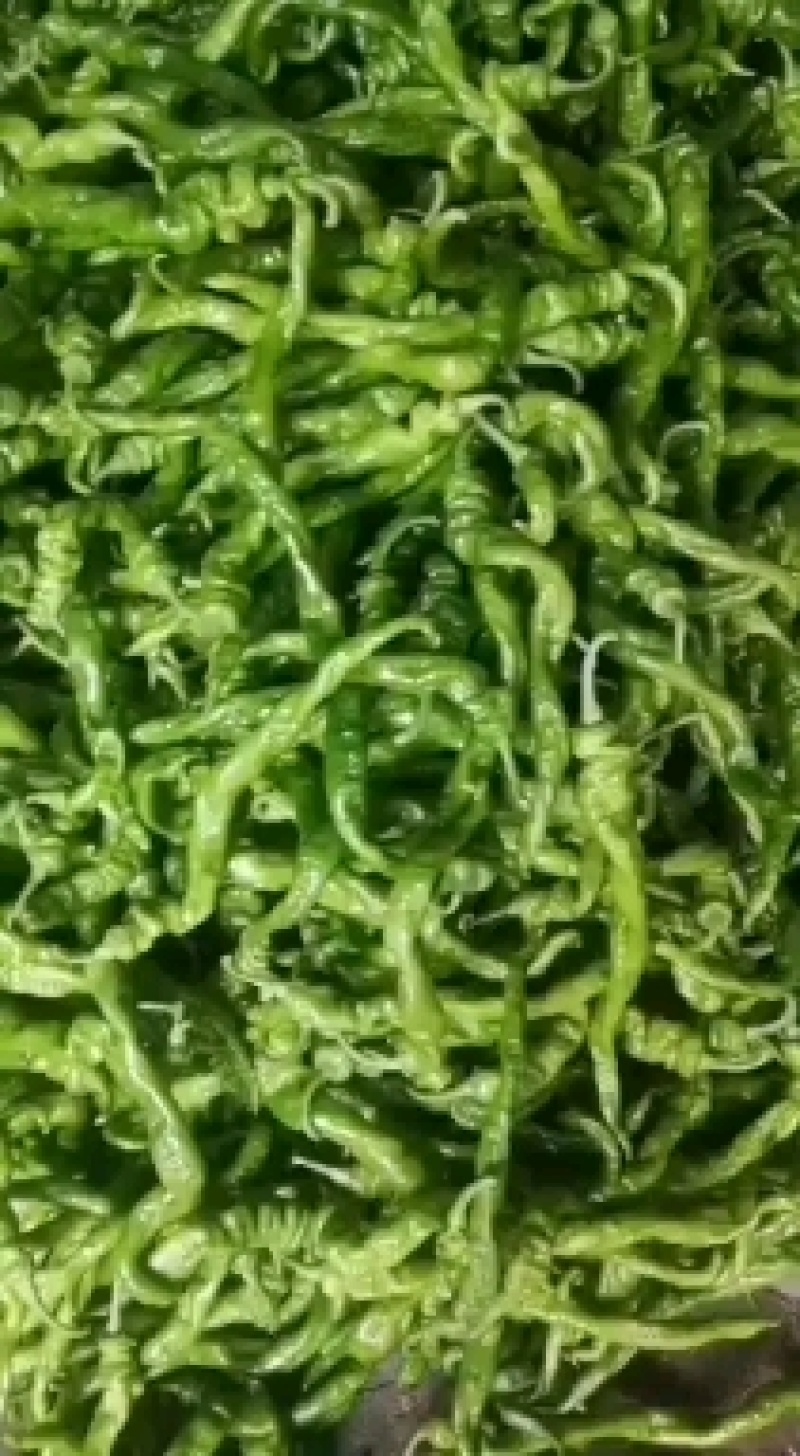 辣椒，螺丝椒，龙椒