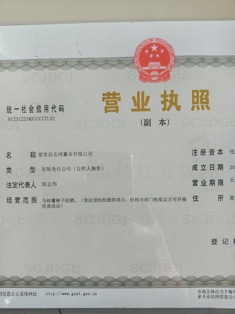 【精品】内蒙荷兰十五土豆种子，荷兰806种子，荷兰七种子