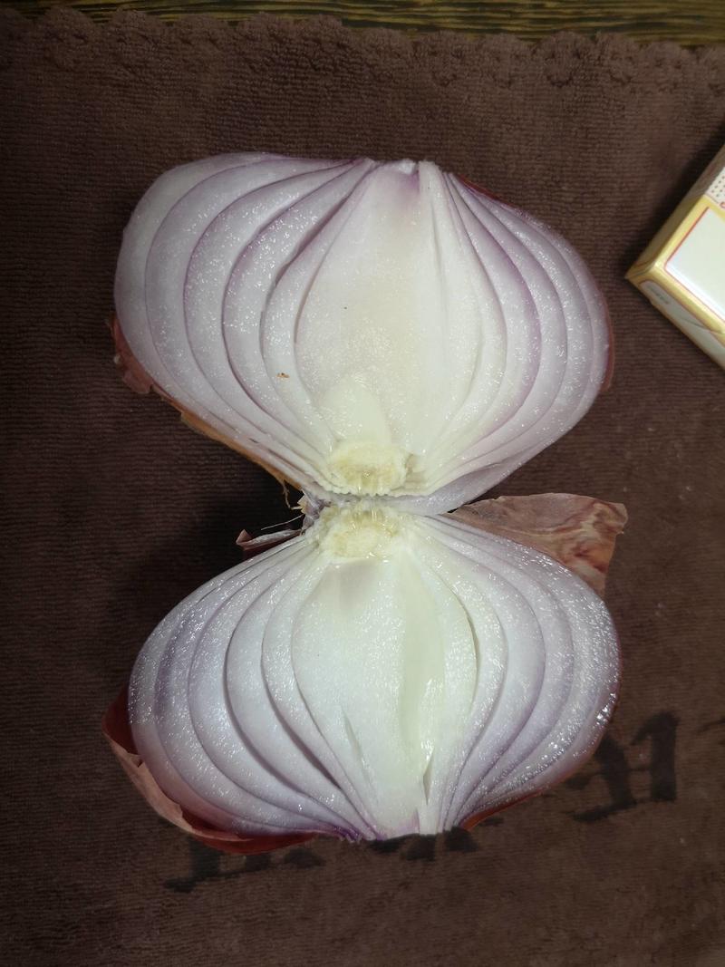 紫洋葱、品种全、保证质量、8厘米以上、价格低
