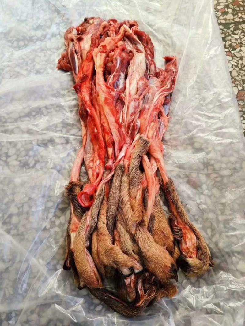 老御头正宗新鲜梅花鹿筋.鲜鹿肉鹿排骨顺丰空运48小时到货
