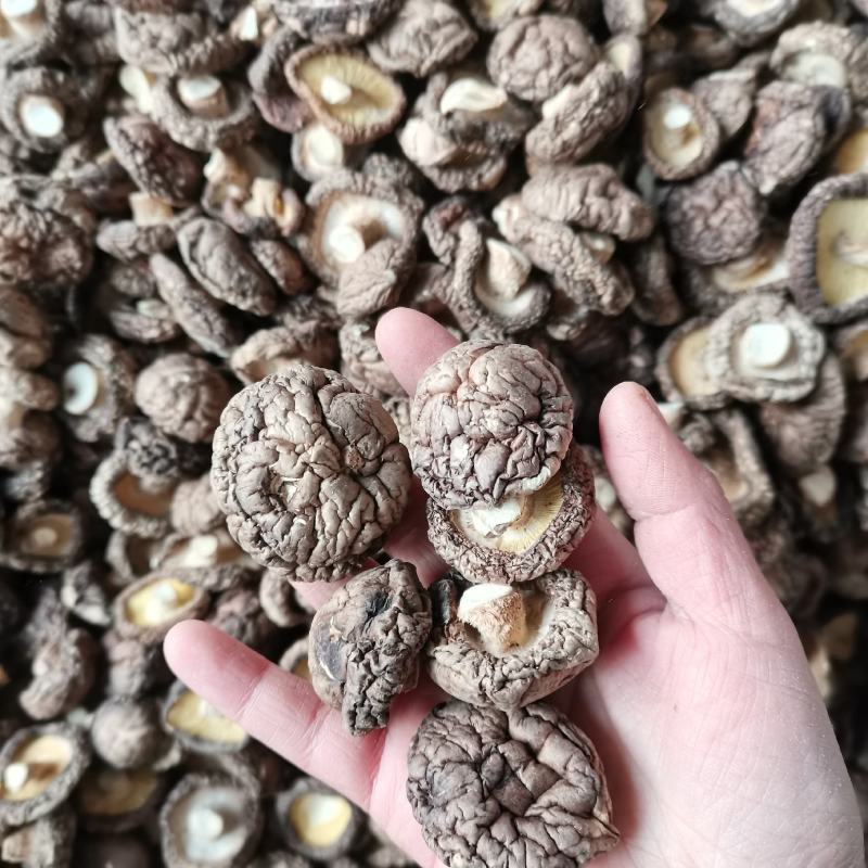 当季新货春载干香菇冬菇面菇原产地直发一手货源大量批发