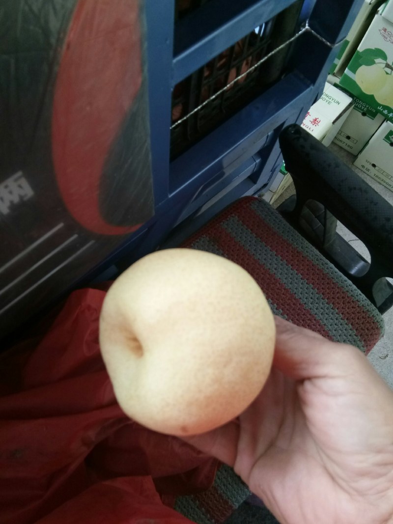 【推荐】山西酥梨75以上的膜袋1.05脆甜可口货源充足