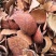 原生中药材《九龙藤，五花血藤，九龙根》批发零售