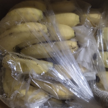 云南不受寒三把好香蕉