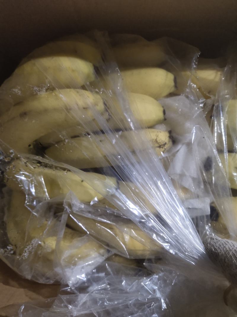 云南不受寒三把好香蕉