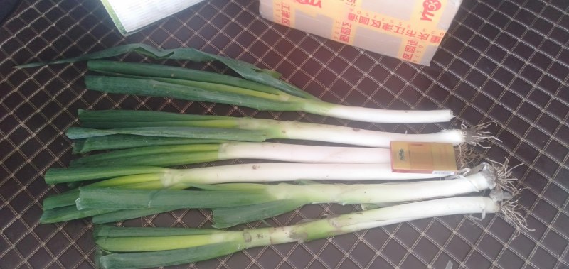 铁杆大葱25亩，30到40公分。
