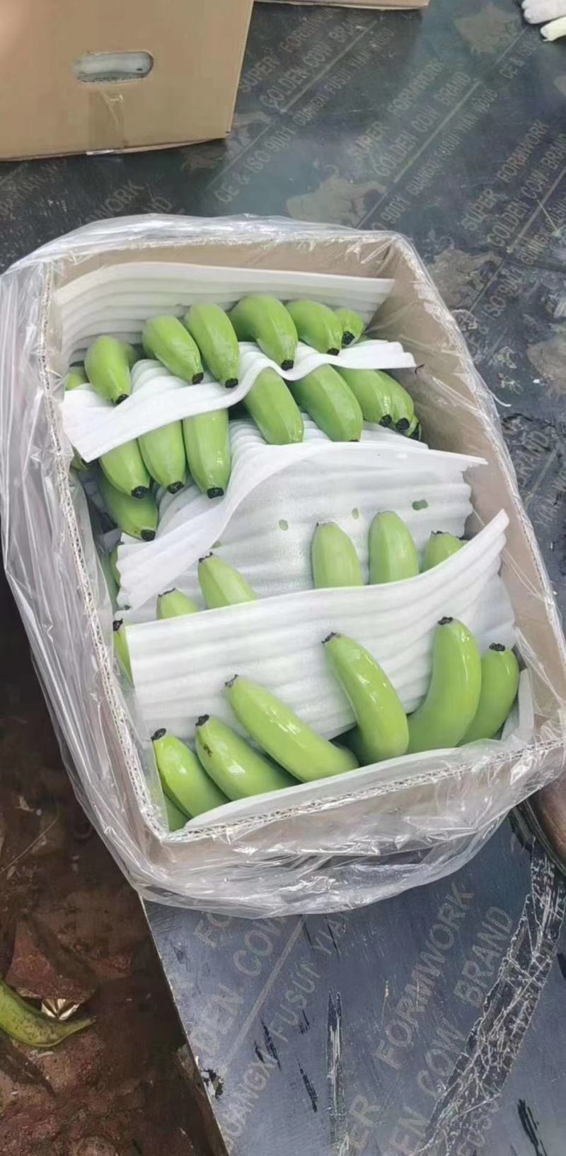 金平猛桥香蕉大量上市看上的联系